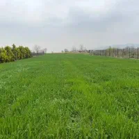 فروش زمین