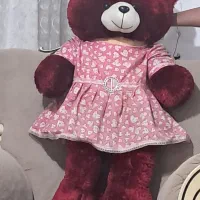 خرس|اسباب‌بازی بچه|لنگرود, |دیوار