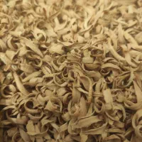 گل بهارنارنج|گل و گیاه طبیعی|نورآباد ممسنی, |دیوار