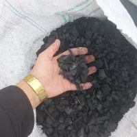 زغال درخت انگور مناسب کرسی