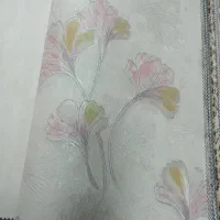 کاغذدیواری خارجی