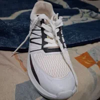 کفش اسپرت قیمت خوب|کیف، کفش، کمربند|اصفهان, جلالیه|دیوار