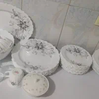 ارکوپال