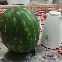 هندوانه B32 . گرد. جانا. راک