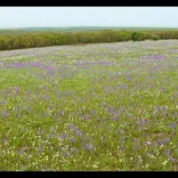 زمین-آبی-کشاورزی
