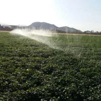 معاوضه زمین واقع در فیروزکوه