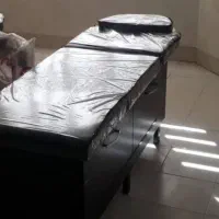 تخت ماساژ یا فیشال|آرایشگاه و سالن‌های زیبایی|قم, آزادگان|دیوار