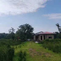 فروش زمین ۴هکتاری تو دل جنگل|فروش زمین و ملک کلنگی|شفت, |دیوار