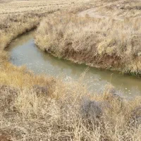 باغ ۵۰۰ متری|فروش خانه و ویلا|صوفیان, |دیوار