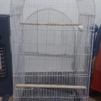 معاوضه نیستم