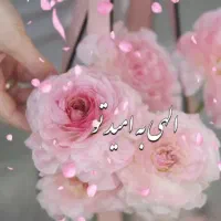 وام میخرم
