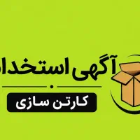 استخدام نیروی کار در کارتن سازی