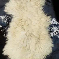 پوست مویی گوسفندی و بزی|آرایشی، بهداشتی، درمانی|قم, رضویه|دیوار