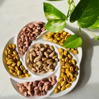 پسته شور امسالی خوشمزه