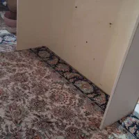 هود کن با جاش|هود|تهران, تهرانپارس غربی|دیوار