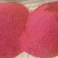 پخش کلی زرشک قاینات(پخش عمده)