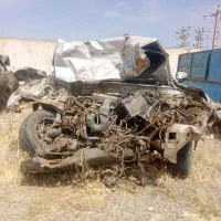 سمند تصادفی تر تمیز