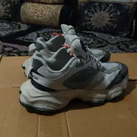 معاوظه با کفش مجلسی