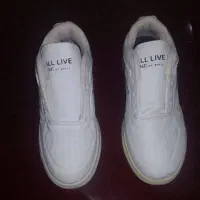 کفش|کیف، کفش، کمربند|رباط‌کریم, نصیرشهر|دیوار