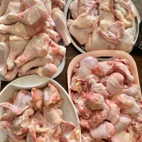 دمچه ران اصلاحی بال و کتف