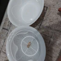 ظروف دردار|ظروف نگهدارنده، پلاستیکی، یک‌بارمصرف|گلبهار, شهر جدید گلبهار|دیوار