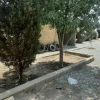 چهاردیواری ۵۰۰ متری سندار تک برگ