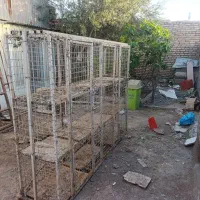 جفت کن 9 تایی