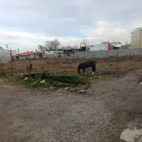 زمین‌|فروش زمین و ملک کلنگی|خمام, |دیوار