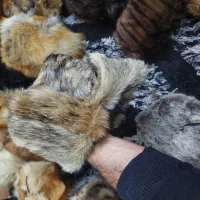 کلاه جنس گرگی|لباس|تهران, جوادیه تهرانپارس|دیوار