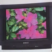 تلویزیون بلر 24