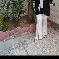 تعدادی لبلس نو