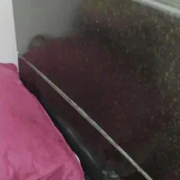 بخاری یازده هزار