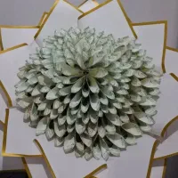 همراه همیشگی