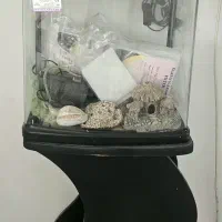 اکواریوم شرکتی همراه با پایه