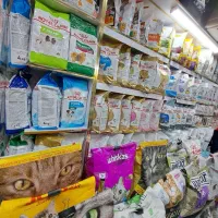 Happy cat خشک|لوازم جانبی حیوانات|مشهد, گلبرگ|دیوار