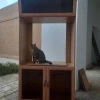 میزکامپیوتروکمد تلویزیون|میز تحریر و کامپیوتر|یزد, |دیوار