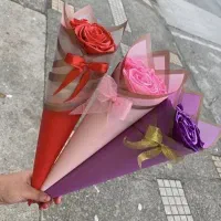 گل روبانی تک شاخه