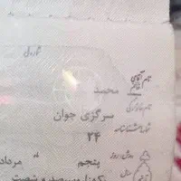 شناسنامه پیدا شده