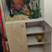 آکواریوم نو با کمد|ماهی|مبارکه, |دیوار