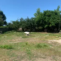 زمین روستایی/سند تک برگ/۲۵۰متر