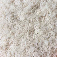 برنج فجر