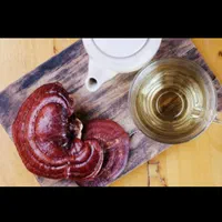 قارچ گانودرمای قرمز، خشک، وارداتی و پرورشی|خوردنی و آشامیدنی|تهران, نارمک|دیوار