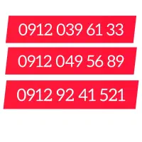 09120495689