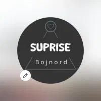 همکاری در گروه سورپرایز بجنورد