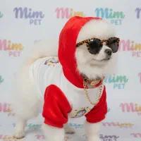 دورس|لوازم جانبی حیوانات|کرج, فاز ۴ مهرشهر|دیوار