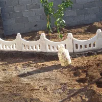 کاشی کاری|خدمات پیشه و مهارت|املش, |دیوار