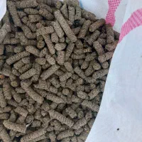 کنجاله کلزا کنجد