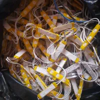 ریسه نوری کار کرده حدودا ۵۰تا ۶۰متر|ریسه و چراغ تزئینی|شیراز, لشکری‎|دیوار