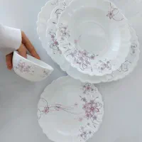 ظروف آرکوپال