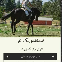 کار در مزرعه اسب